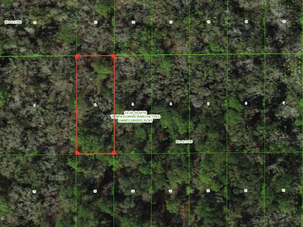 Unassigned Lot 2, Wesley Chapel, FL 33544