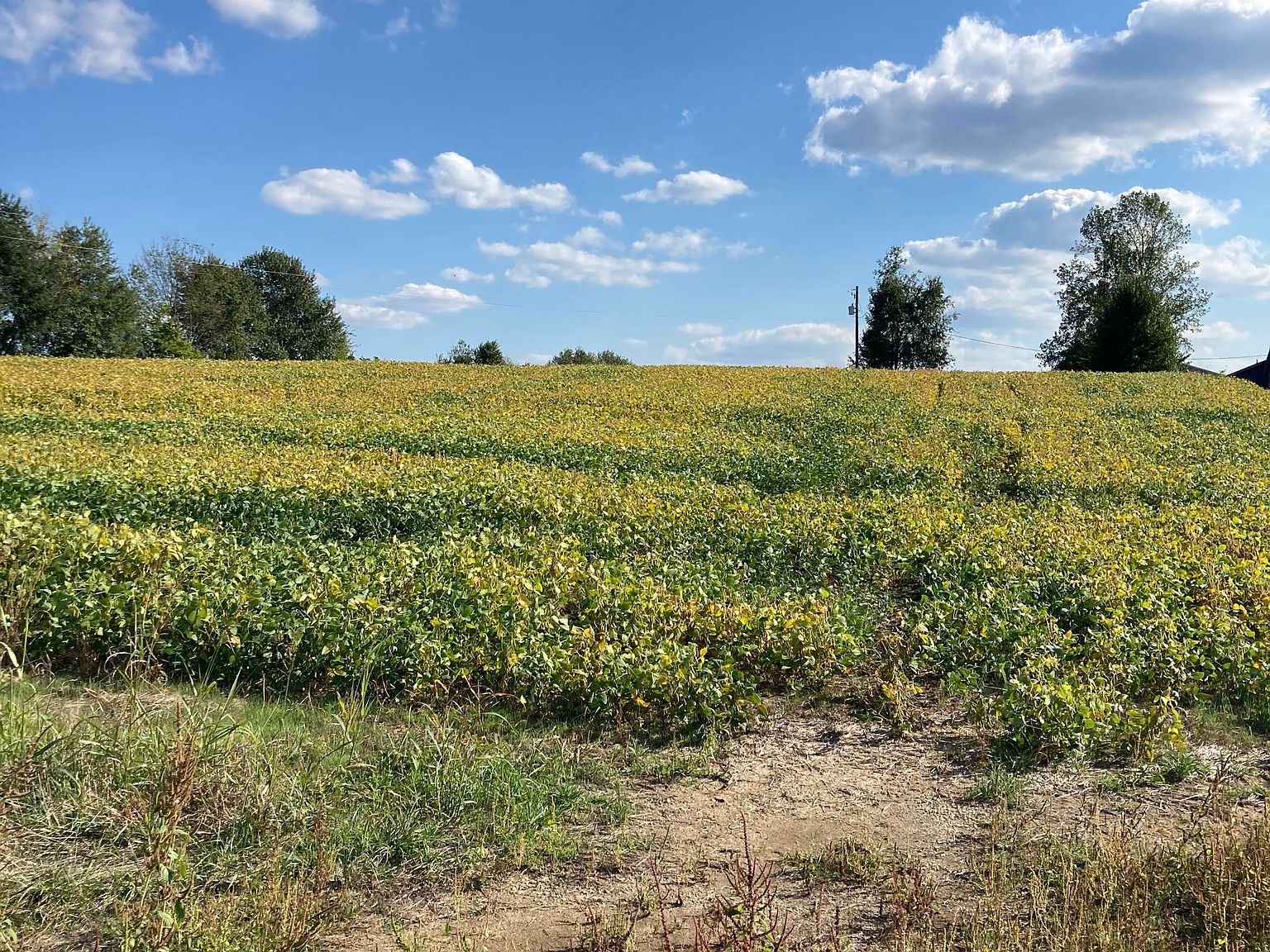 3295 Lawrenceburg Rd, Bloomfield, KY 40008 Zillow