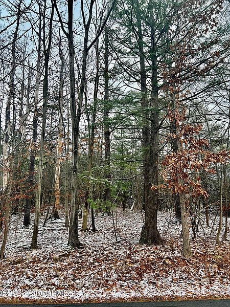 5th image of 1430 Sleepy Hollow Road