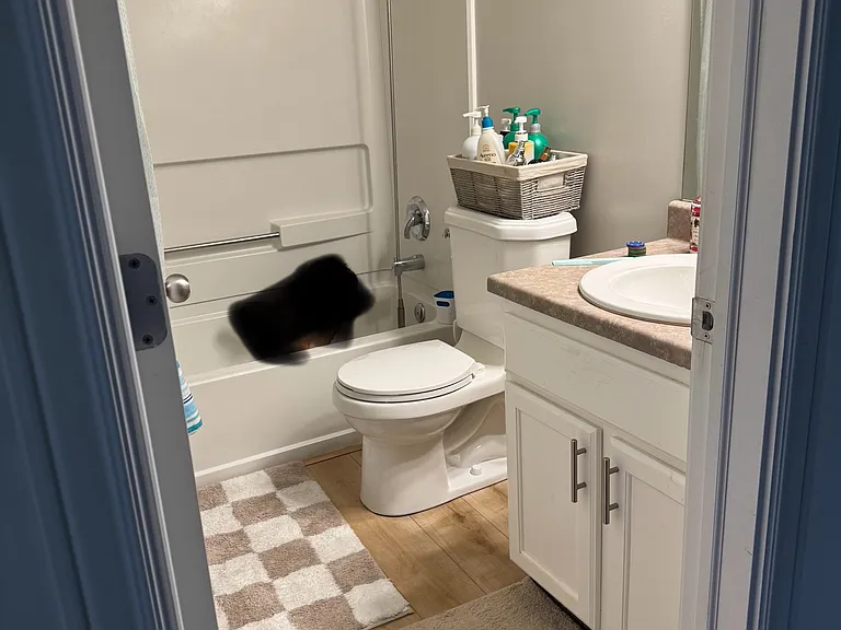 3319 W Upper Newark Way — Photo 6