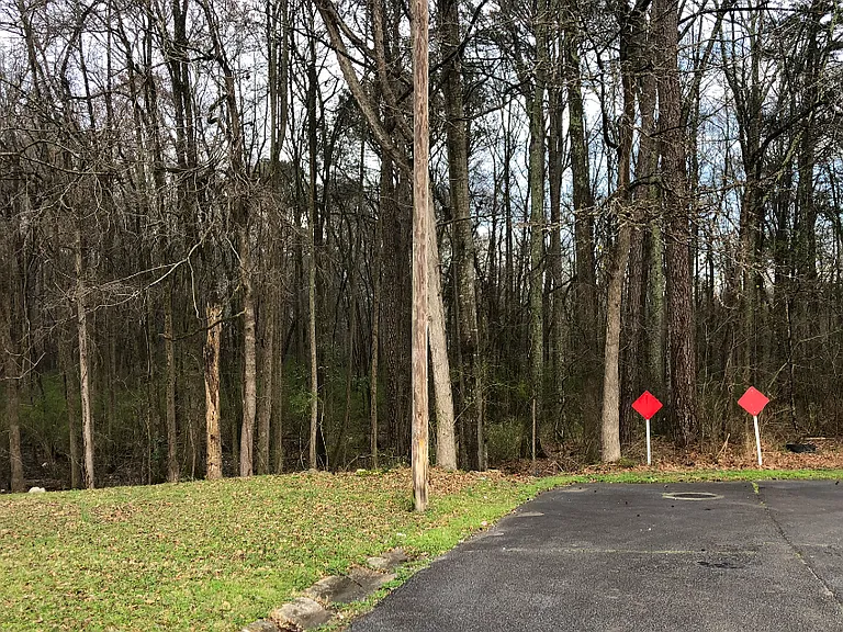 196 Dixboro Dr — Photo 3