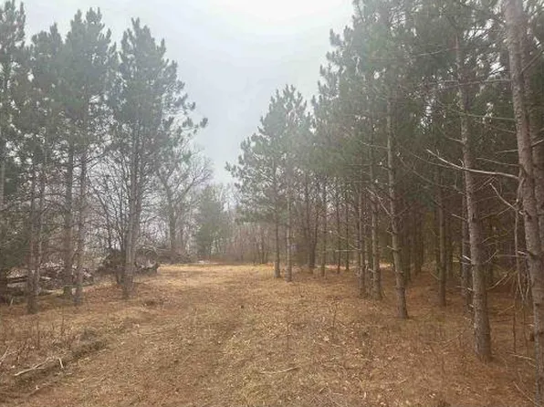 L22 Big Bay Road #22, Necedah, WI 54646
