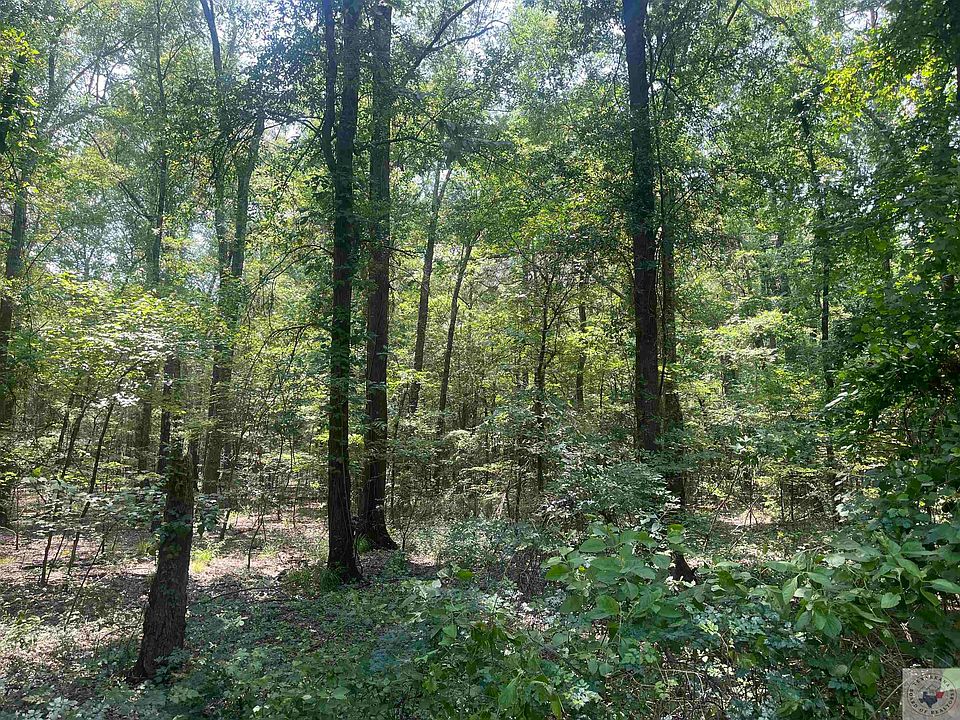 0 Eckert Ln, Hooks, TX 75561 MLS 112212 Zillow