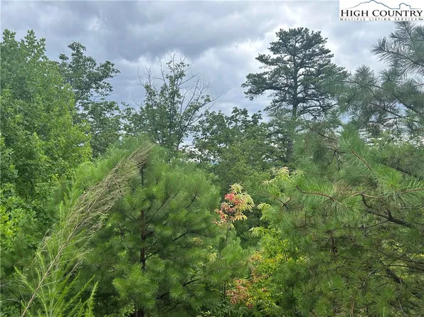 tbd Lobelia Lane, Boone, NC 28607