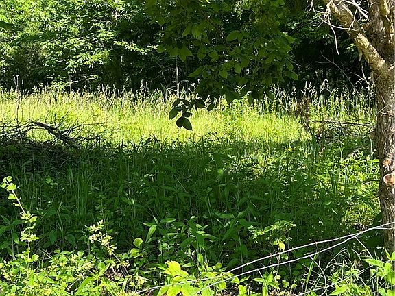 5th image of 27293 Little Buffalo Rd
