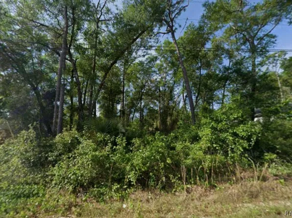 6490 E Willow St, Inverness, FL 34452