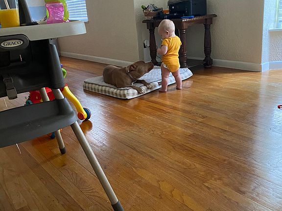 2nd image of 118 Mississippi Dr