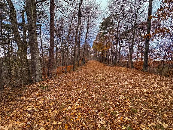 32nd image of this home