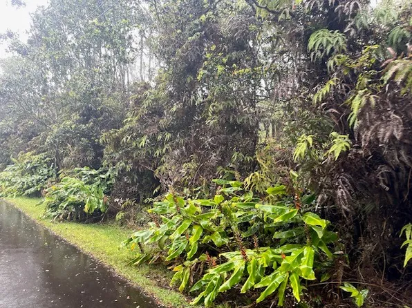 11-3802 11th St Lot 962, Volcano, HI 96785
