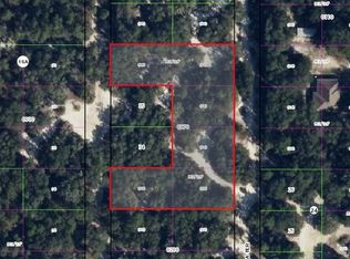 3580 S Alamanda Ter, Inverness, FL 34450