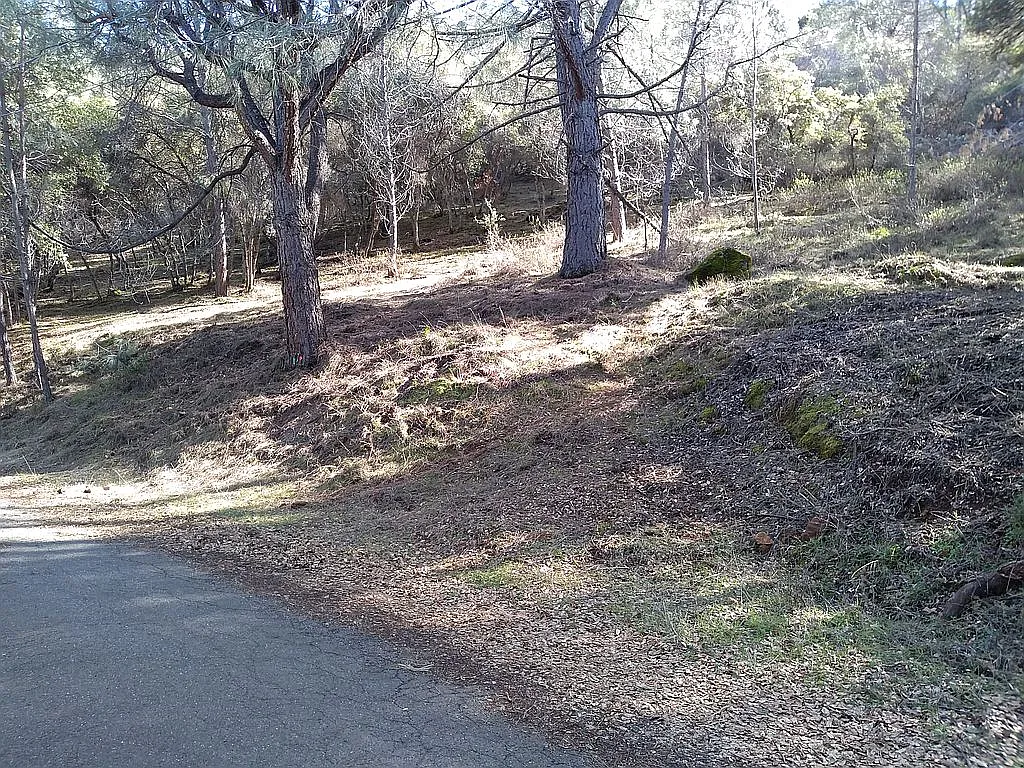10479 Boren Bega Dr photo 1