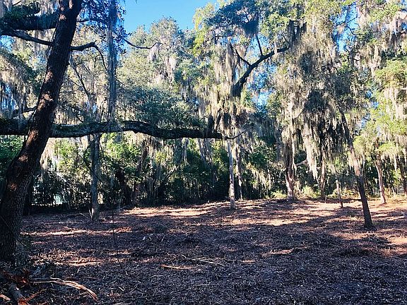 2nd image of 9 Avenue Of Oaks