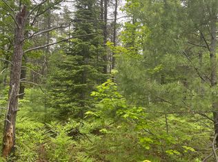 14555 N Whitefish Point Rd, Paradise, MI 49768
