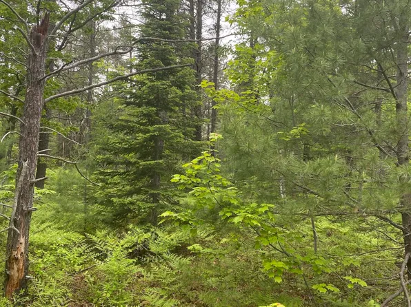 14333 N Whitefish Point Rd, Paradise, MI 49768