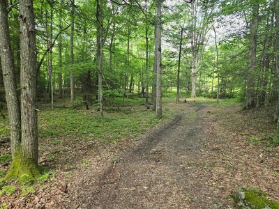 Tbd Poor Valley Rd, Bland, VA, 24315