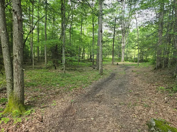Tbd Poor Valley Rd, Bland, VA 24315