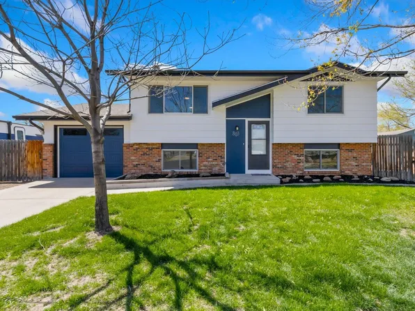 803 Table Mountain Ct, Windsor, CO 80550