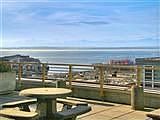 Harbor view
