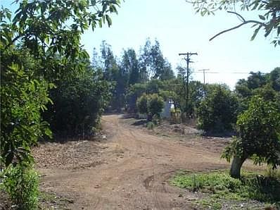 5th image of 29409 Sierra Rojo Ln