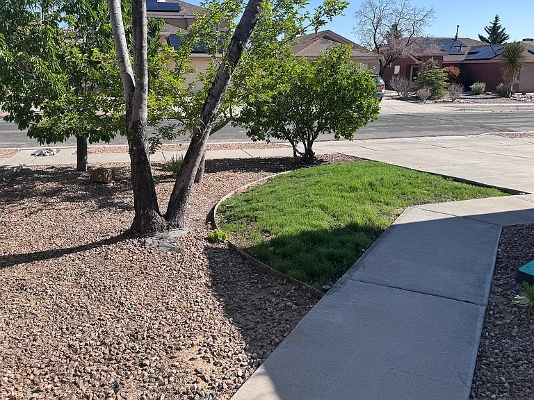 Front yard