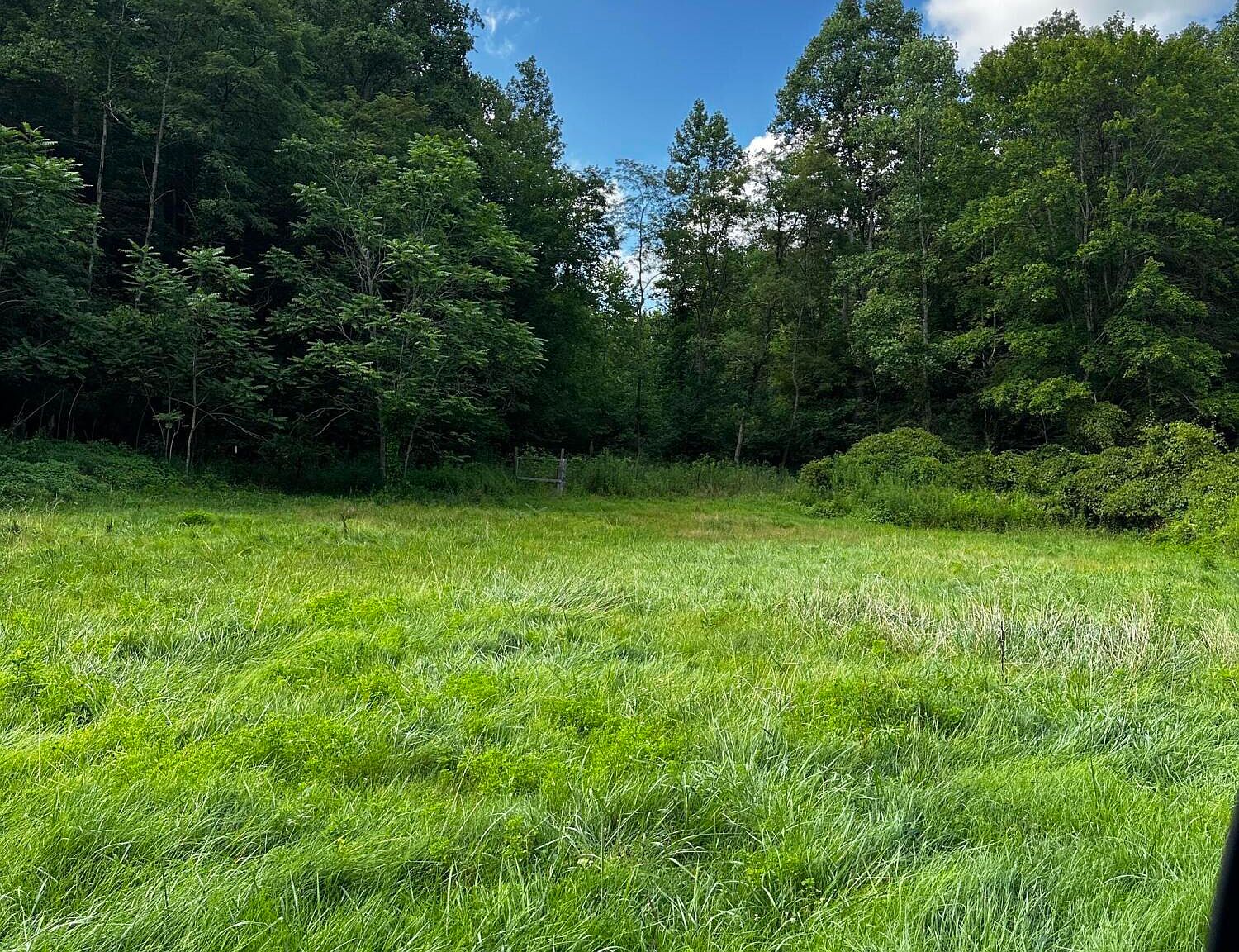 517 Camp Branch Rd, Hazel Green, KY 41332 Zillow