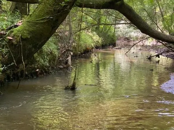 Cutrer Rd, Osyka, MS 39657