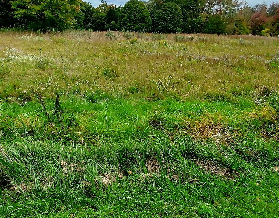 1st image of Parcel 253-16-288 Exeter Road