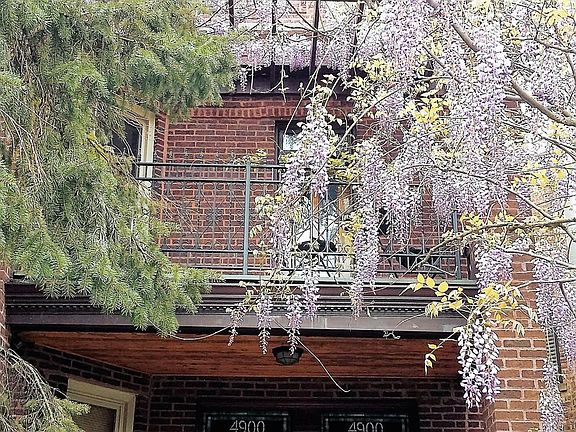 2nd image of 4900 N Winchester Ave #2