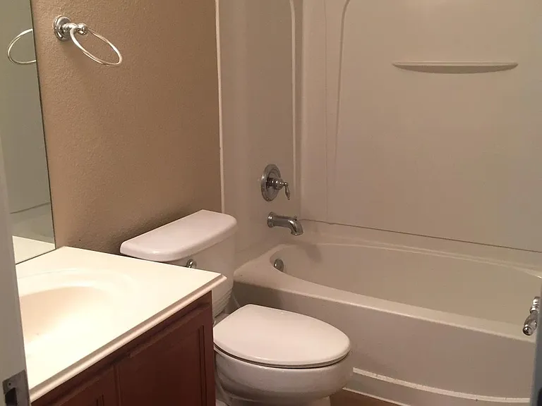 834 Honeysuckle Vine Dr — Photo 9