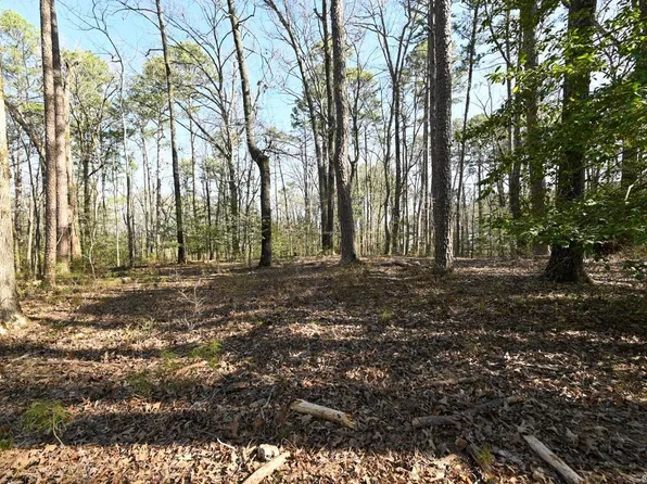 Silverpoint Dr, Mount Ida, AR 71957