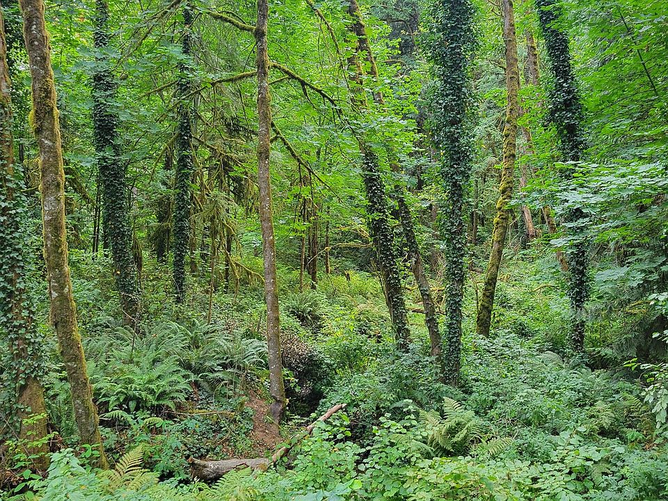 2nd image of Coal Creek Rd