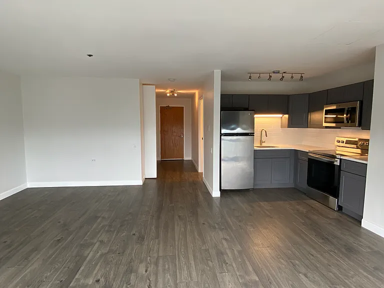 1122 N Clark St #3902 — Photo 11