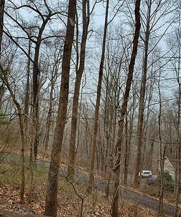 5th image of 86 Tuckaway Dr
