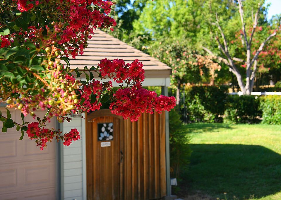 2nd image of 2441 E Tiffany Ln