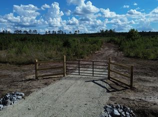 0 Bethel Forest Rd TRACT 3, Orangeburg, SC 29115