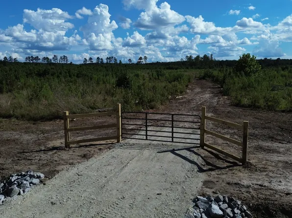 0 Bethel Forest Rd Tract 3, Orangeburg, SC 29115