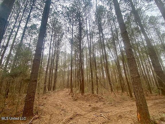 4th image of Crawley Rd