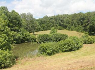 Lebanon Rd, Blue Ridge, GA 30513