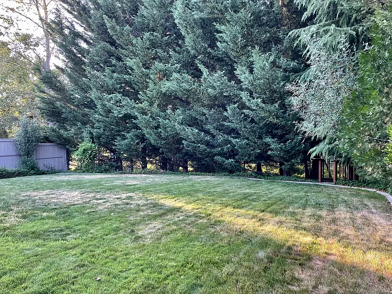 Edgewater Dr — Photo 19