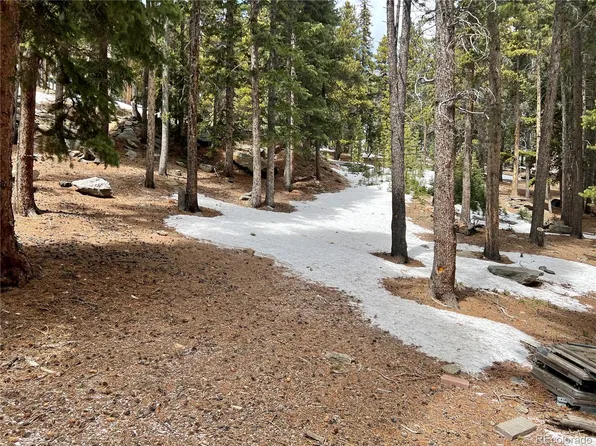 131 Sawmill Lane LOT 5&6, Idaho Springs, CO 80452