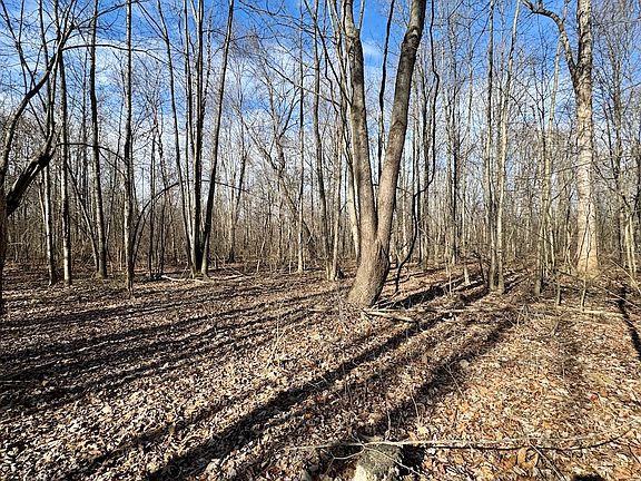 5th image of Off N 31 Highway Van Campen Rd #Us