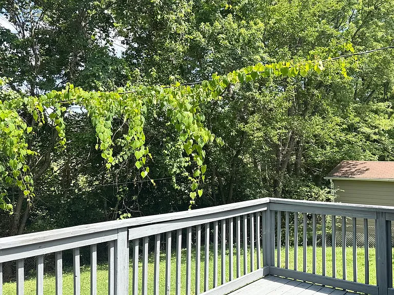 18 Cable Rd — Photo 38