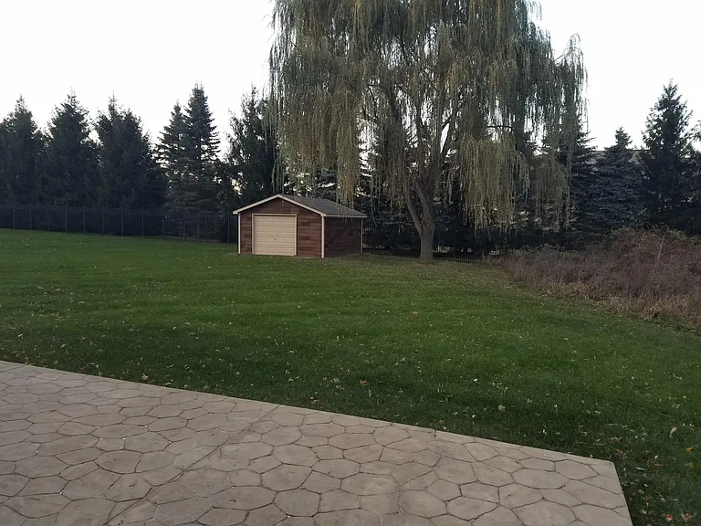Back yard. 1 Car Shed with so much storage. Amazing Willow tree and fire pit.