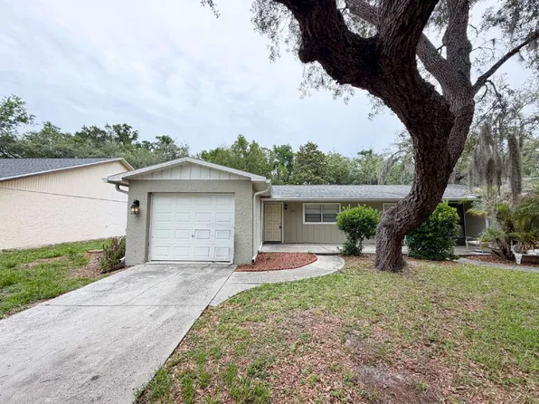 7419 Mead Dr, Spring Hill, FL 34606