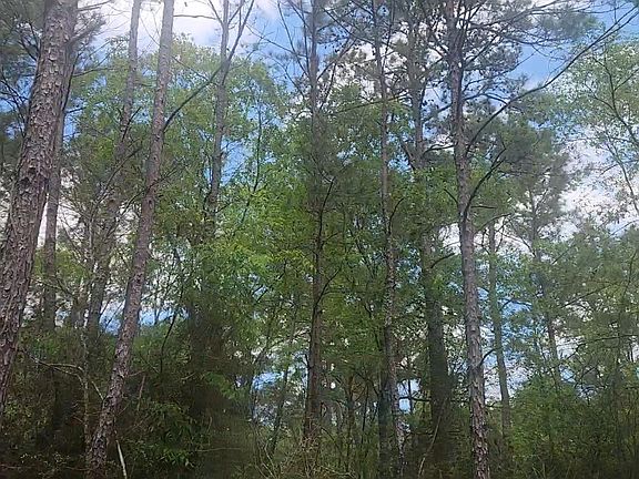 2nd image of LOT 5 Pin Oak Dr