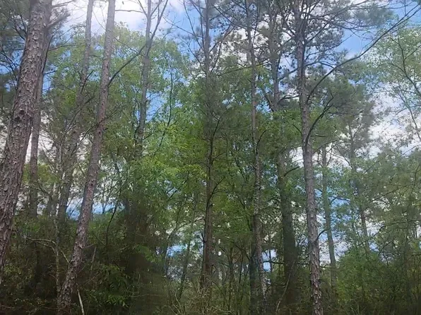 LOT 5 Pin Oak Dr, Plantersville, TX 77363