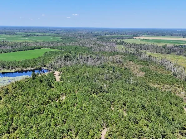 Rhonda Coleman Rd, Hazlehurst, GA 31539