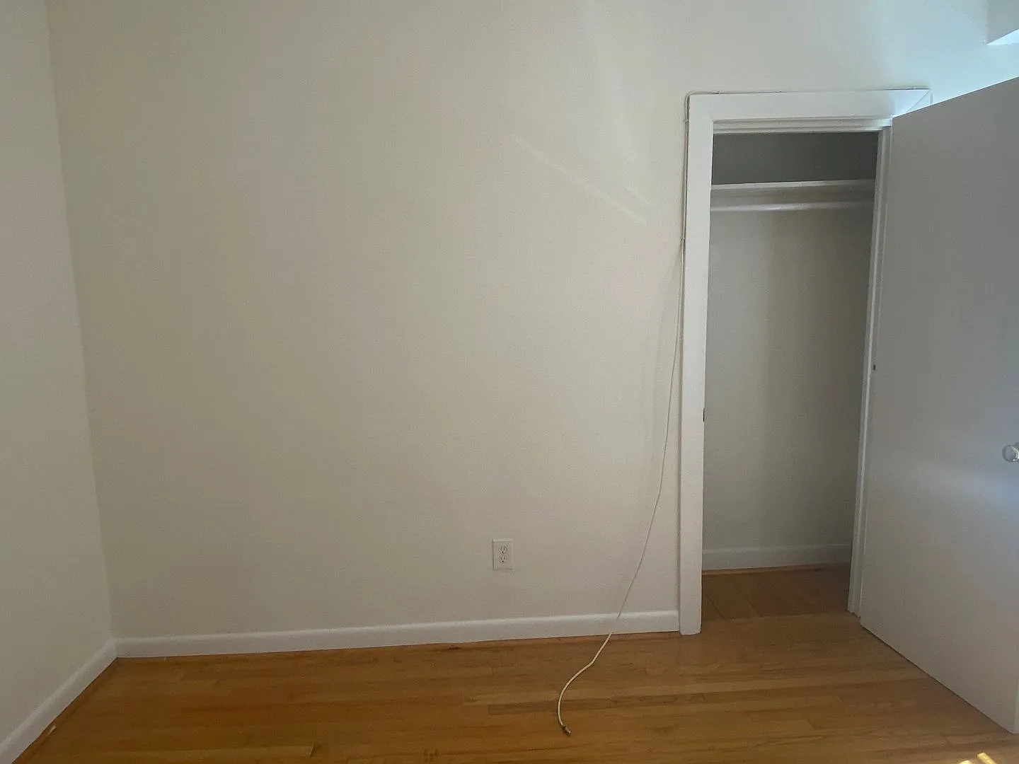 HUge 2 bed on comm ave — Photo 3