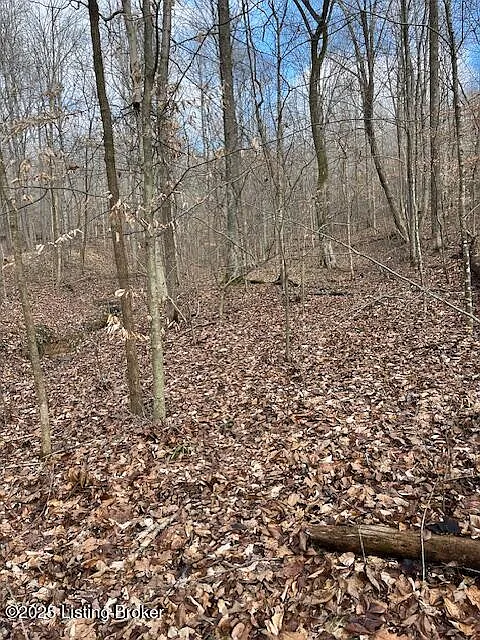 0 E Big Country photo 1