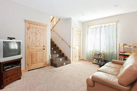 Downstairs Family Room